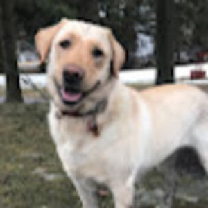 Meet your Posher, Meredith